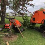 Lowther Forestry arborists working at Lowther Endowed School
