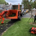 Lowther Forestry arborists working at Lowther Endowed School