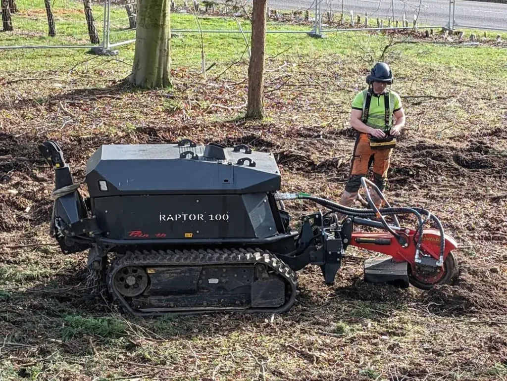 Stump removal and grinding by Lowther Forestry