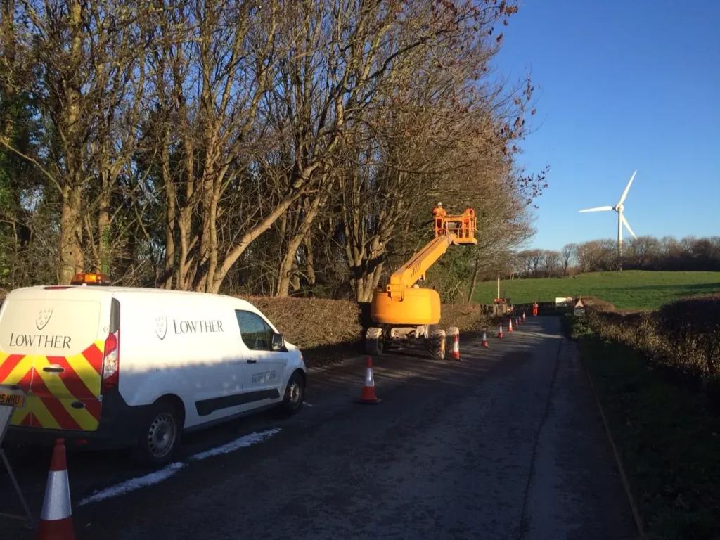 Tree surgery by Lowther Forestry