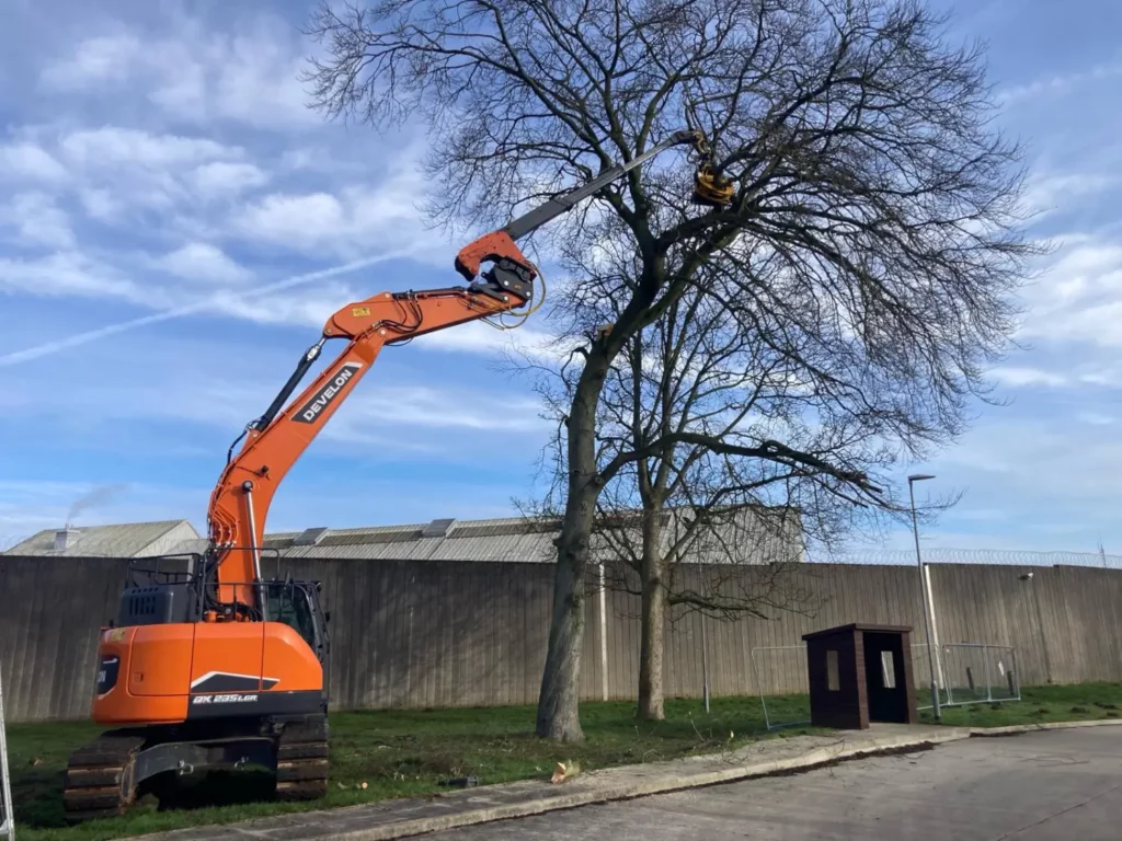 Tree surgery by Lowther Forestry