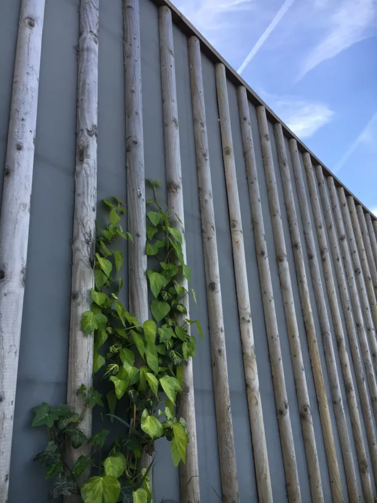 Acoustic and environmental barrier by Lowther Forestry