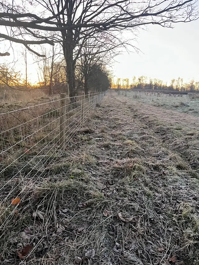 Agricultural and stock fencing by Lowther Forestry