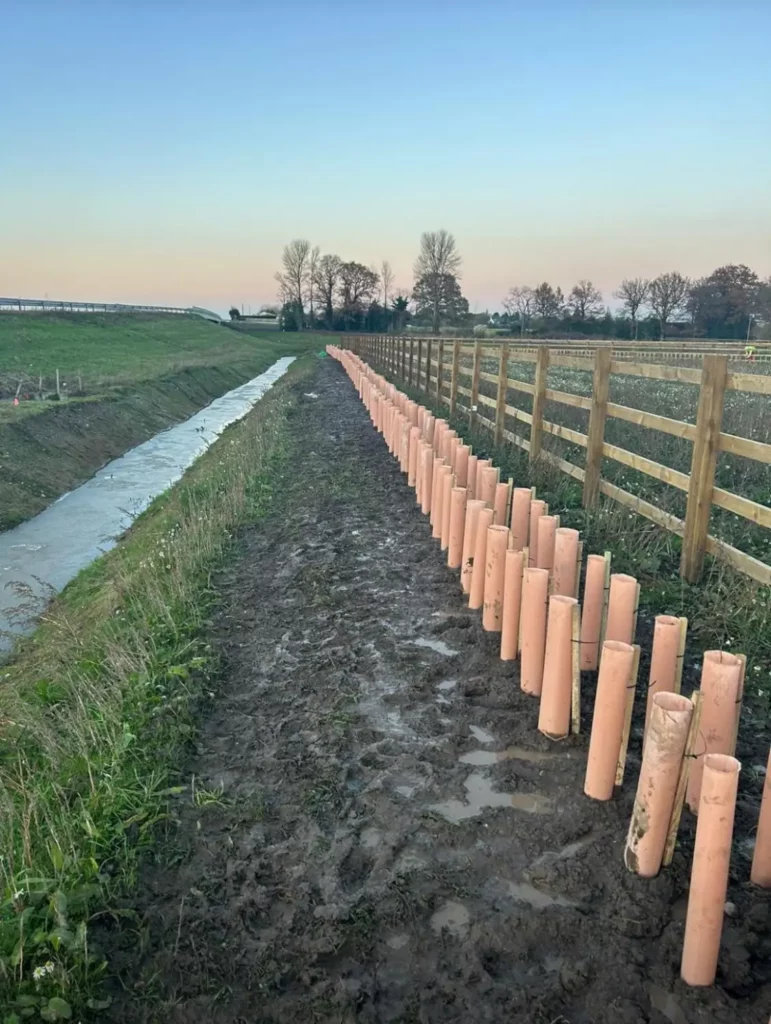 Highway fencing by Lowther Forestry