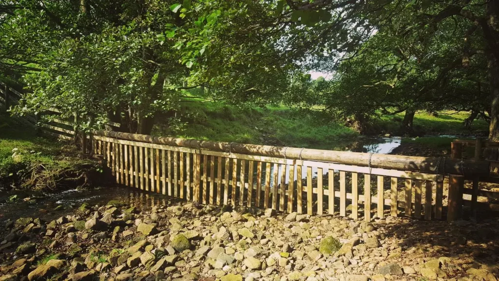 Wildlife exclusion fencing by Lowther Forestry