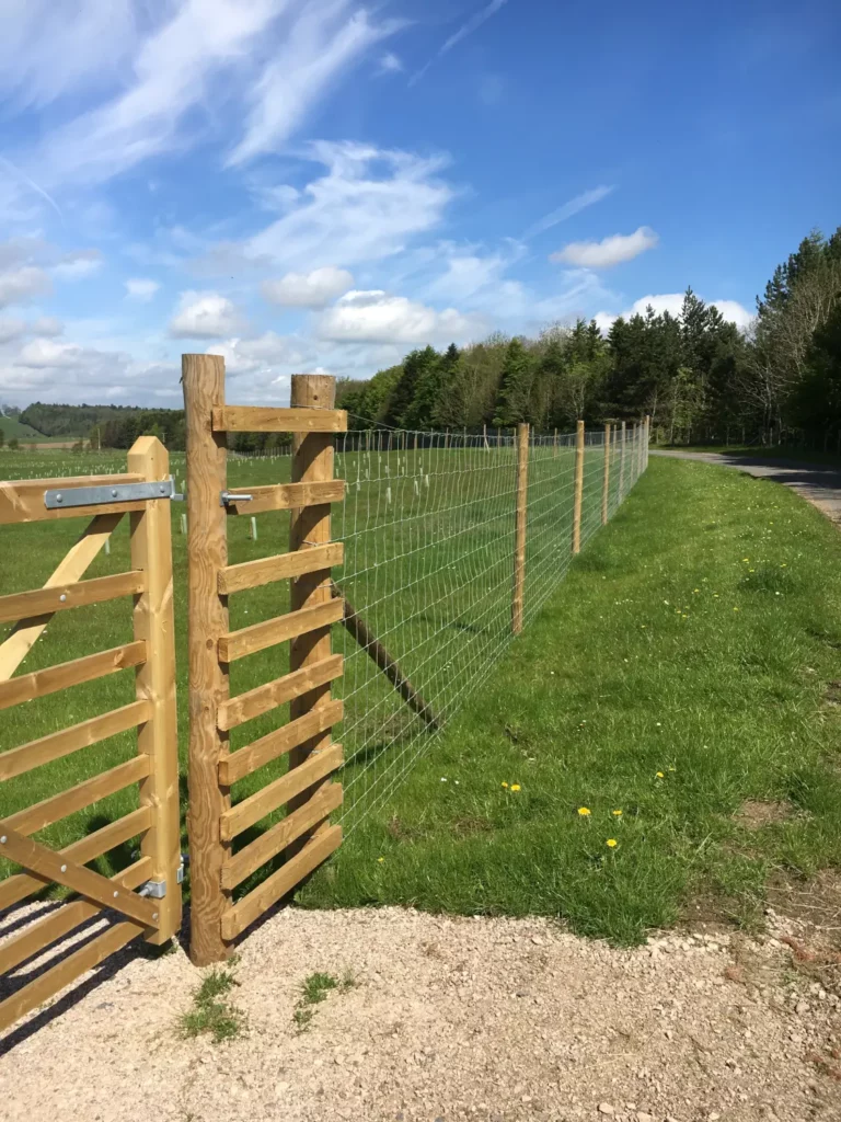 Wildlife exclusion fencing by Lowther Forestry