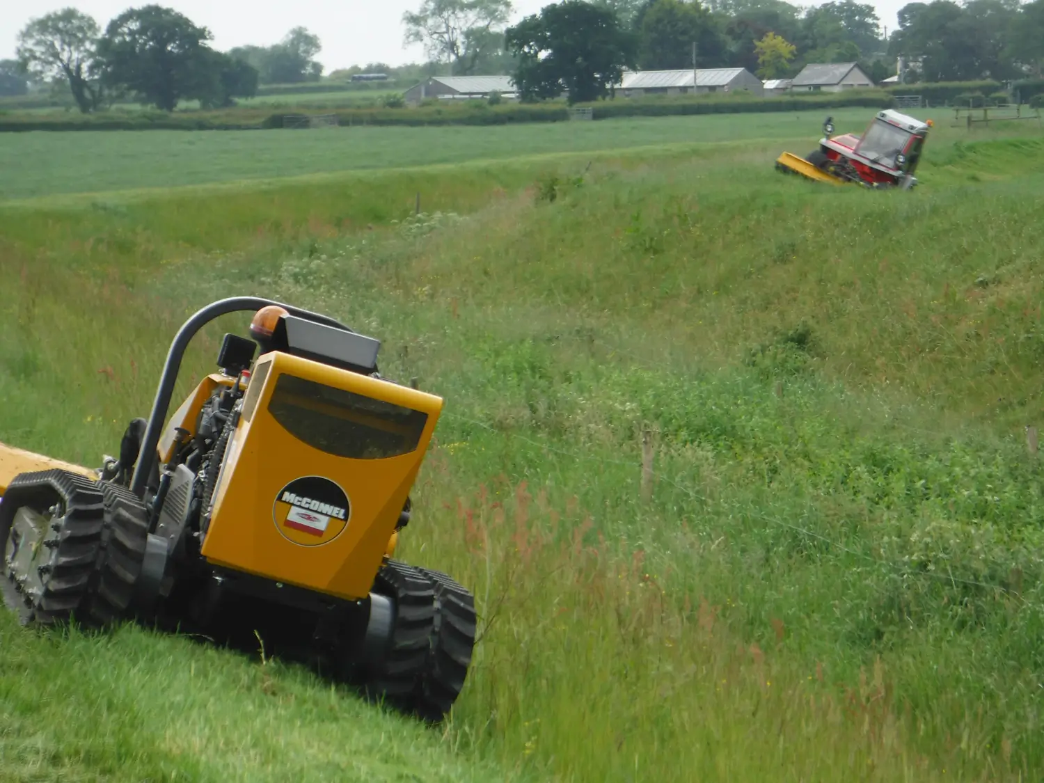 Grass cutting and vegetation management by Lowther Forestry