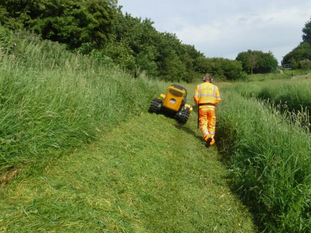 Grass cutting and vegetation management by Lowther Forestry