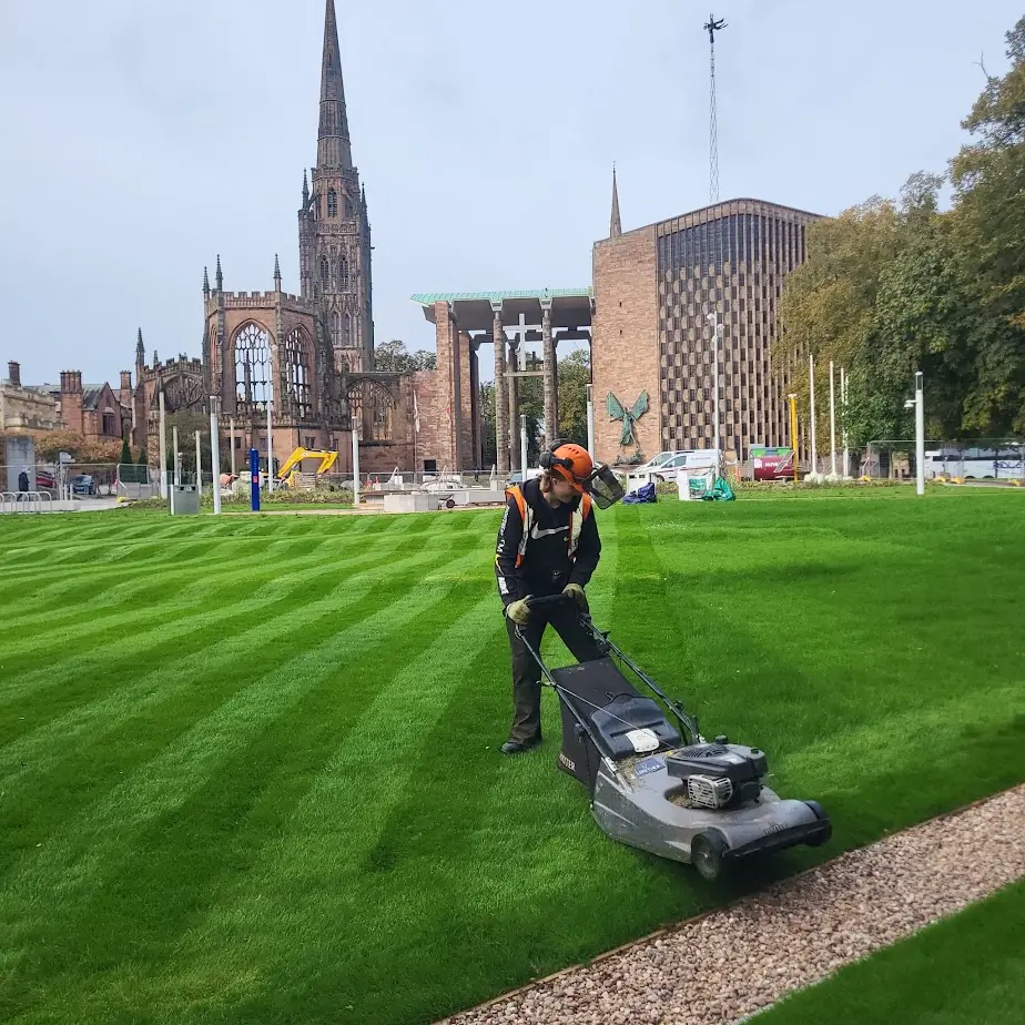 Grass cutting and vegetation management by Lowther Forestry