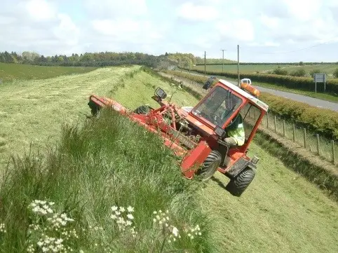 Grass cutting and vegetation management by Lowther Forestry