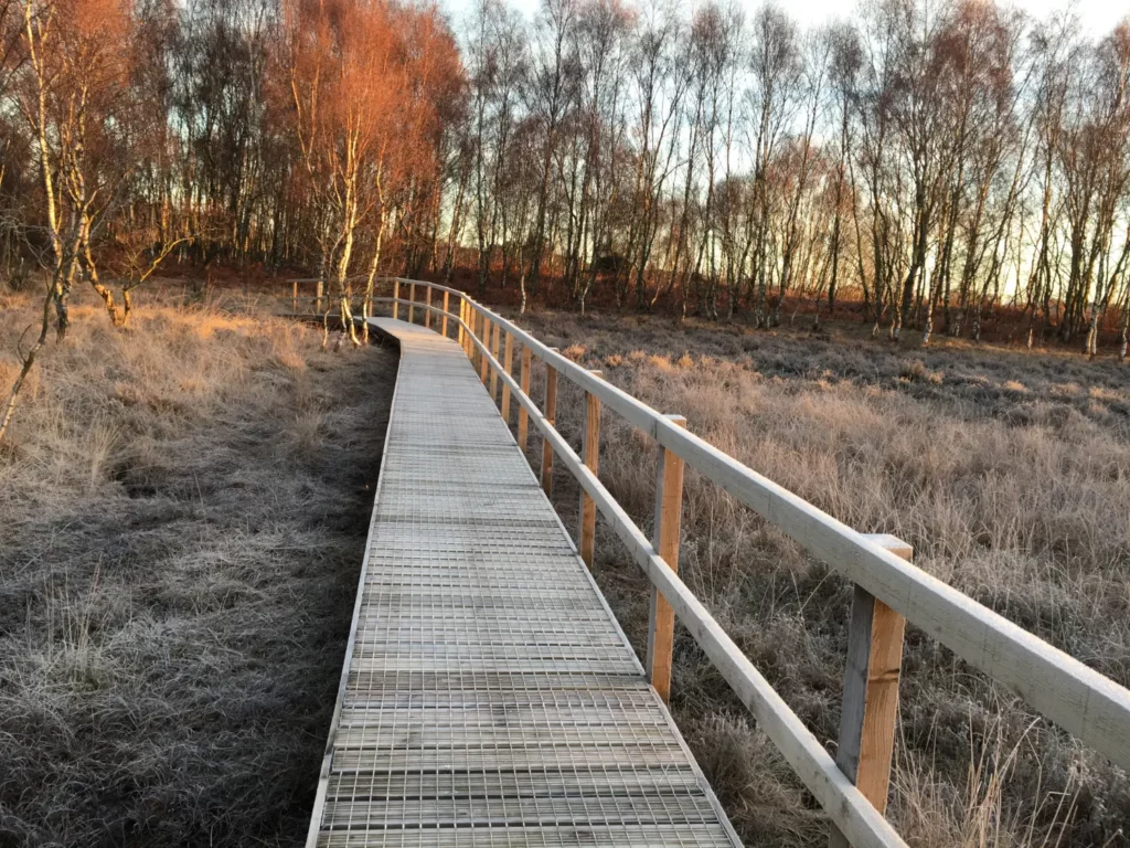 Footpath and boardwalk construction by Lowther Forestry