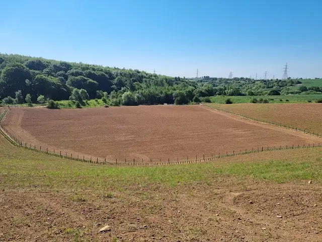 Grass and wildflower seeding by Lowther Forestry