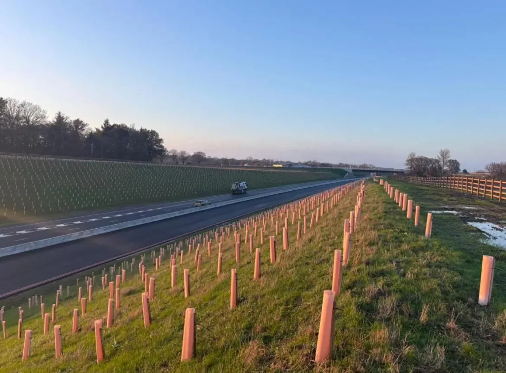 Highway landscaping by Lowther Forestry