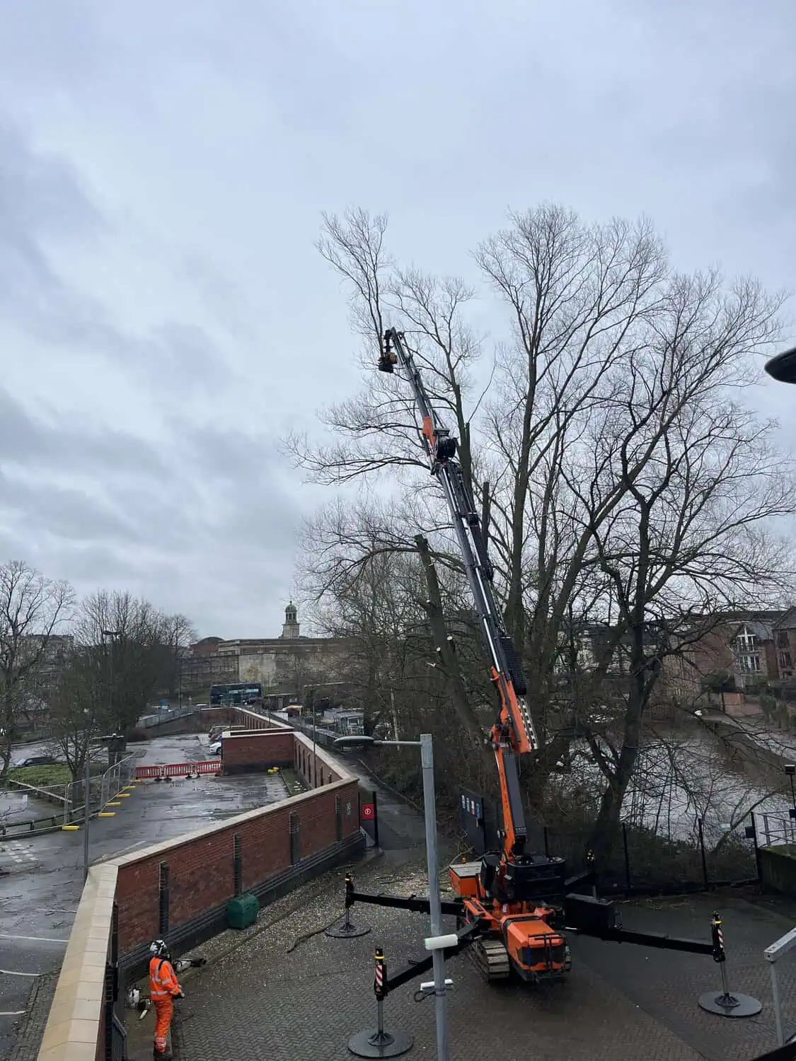 Arboriculture2