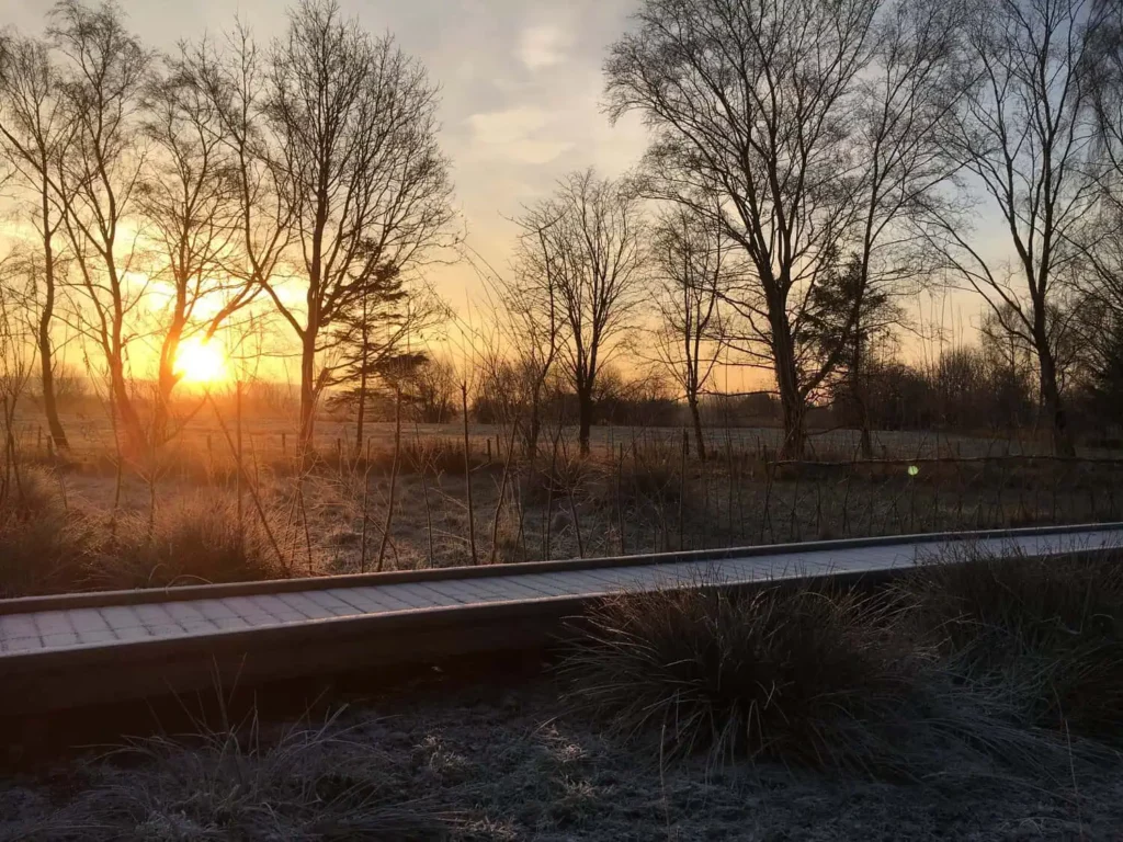 Timber boardwalk installed by Lowther Forestry