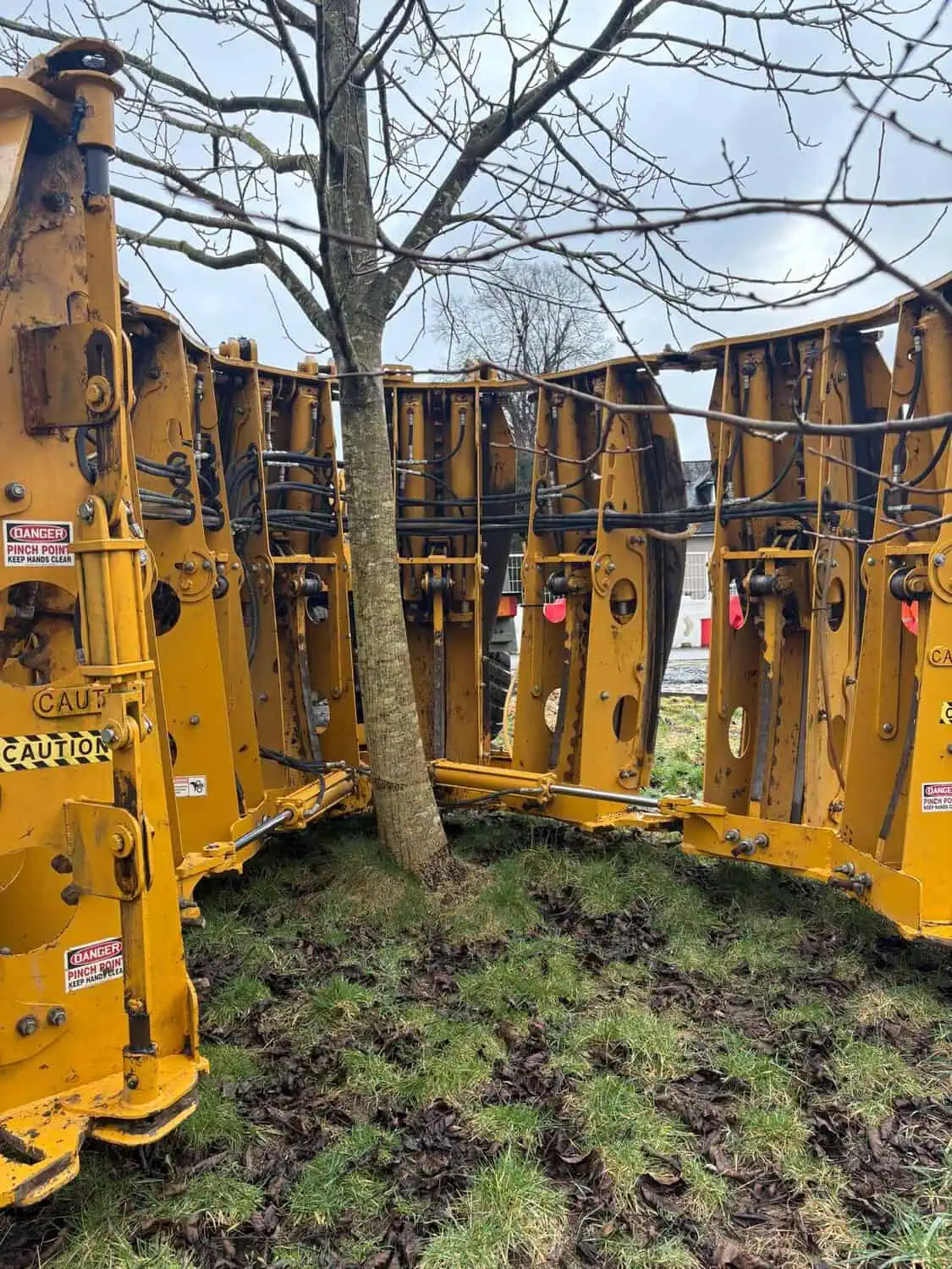 TreeRelocation1